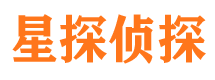 乐业侦探公司